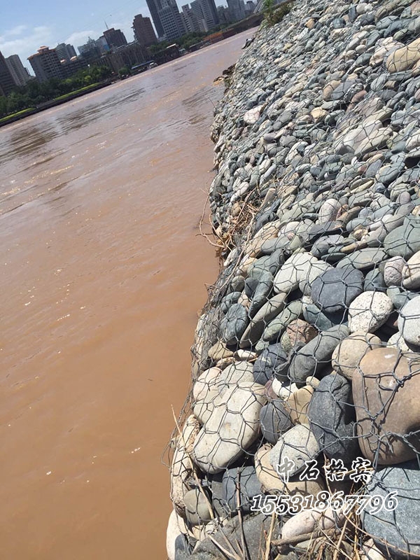 高爾凡雷諾護墊 高爾凡雷諾護墊