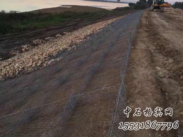 高爾凡雷諾護墊 高爾凡雷諾護墊