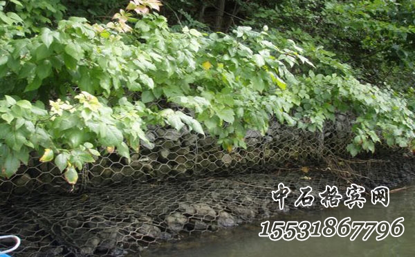 高爾凡雷諾護(hù)墊.jpg 高爾凡雷諾護(hù)墊.jpg