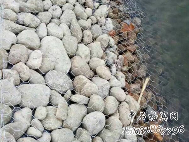 賓格網.jpg 賓格網.jpg