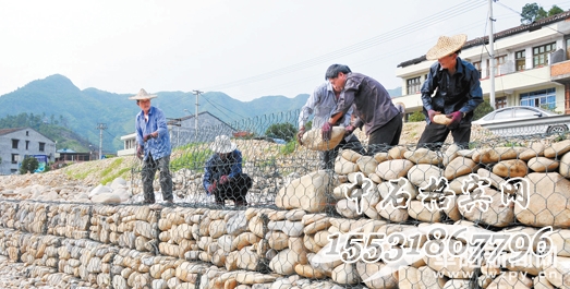 鍍鋅覆塑格賓石籠.jpg 鍍鋅覆塑格賓石籠.jpg