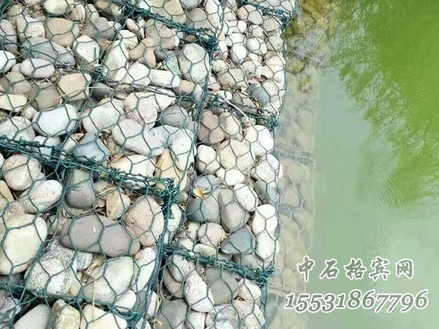 雷諾護(hù)墊 雷諾護(hù)墊