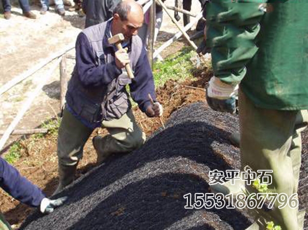 麥克加筋墊.jpg 麥克加筋墊.jpg