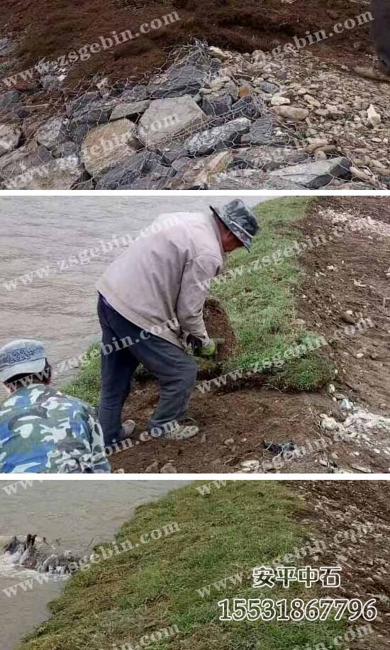 護岸格賓網.jpg 護岸格賓網.jpg